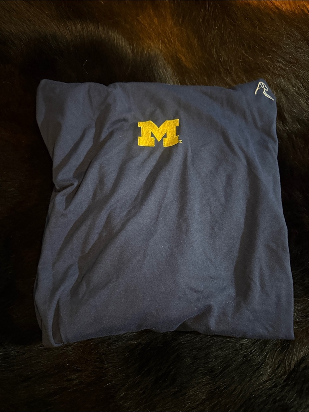 Rhoback men’s hoodie